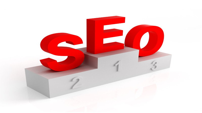 Why Every Small Business Needs SEO Support